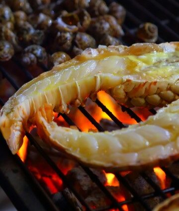 grilled lobster tails