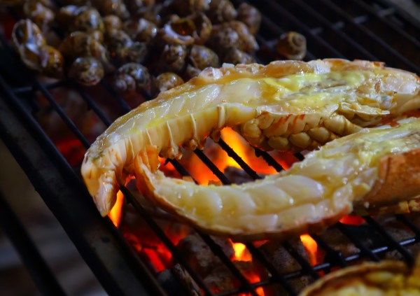 grilled lobster tails