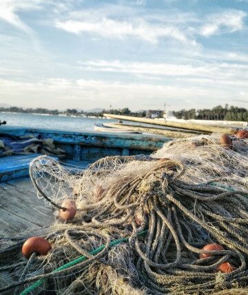 seafood trade