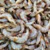seafood safety report