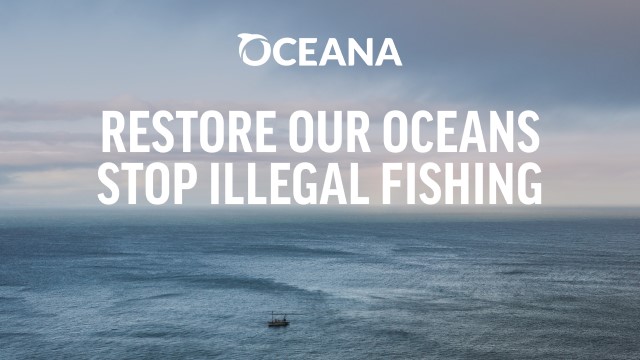 oceana illegal fishing news