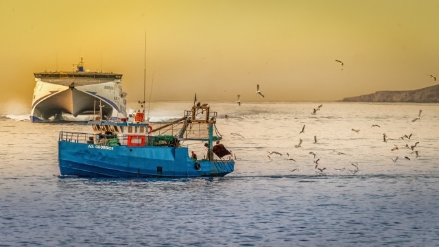 canned seafood market