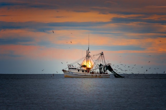 aquaculture