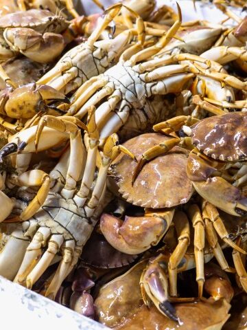 black pepper crab recipe