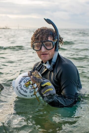 stone crab research