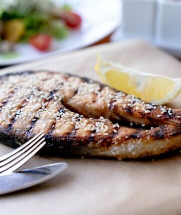 grilled shark