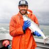 bristol bay sockeye salmon run